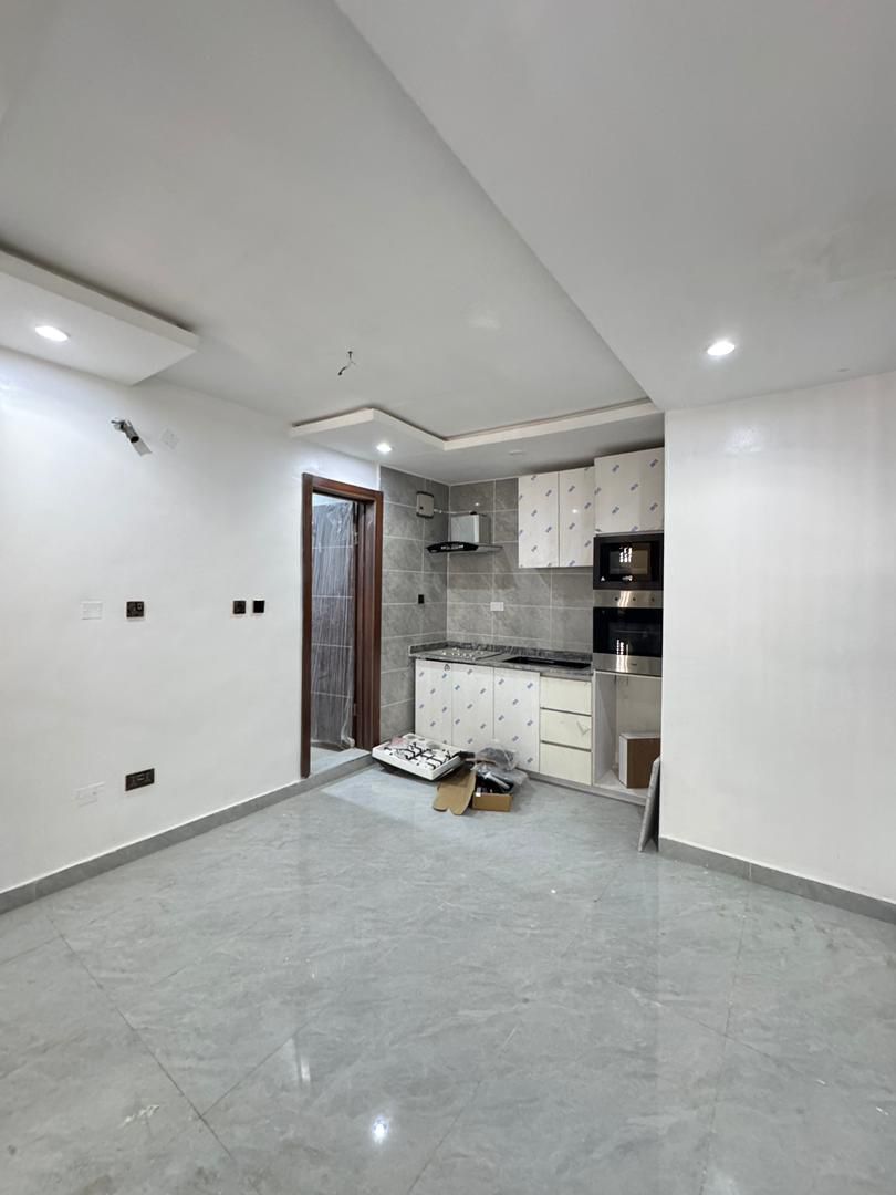 Neatly Built 1-Bedroom Apartment, Surulere, Lagos - Image 12