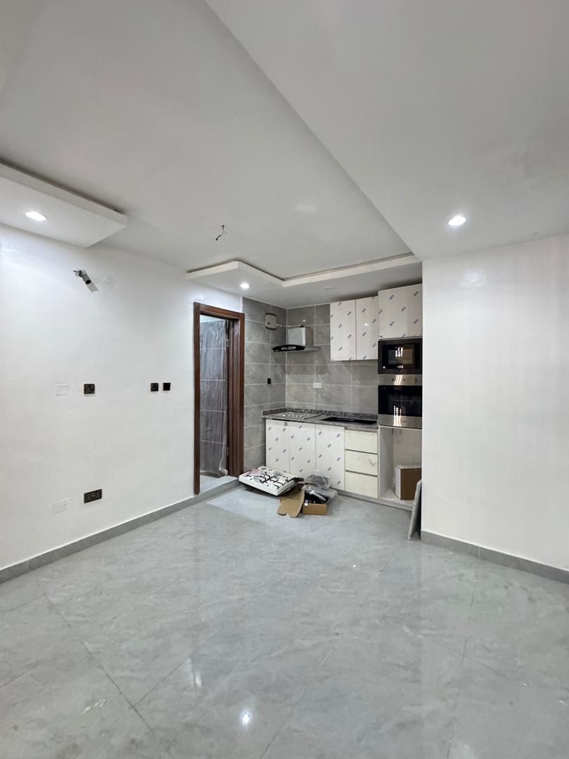 Neatly Built 1-Bedroom Apartment, Surulere, Lagos - Image 10