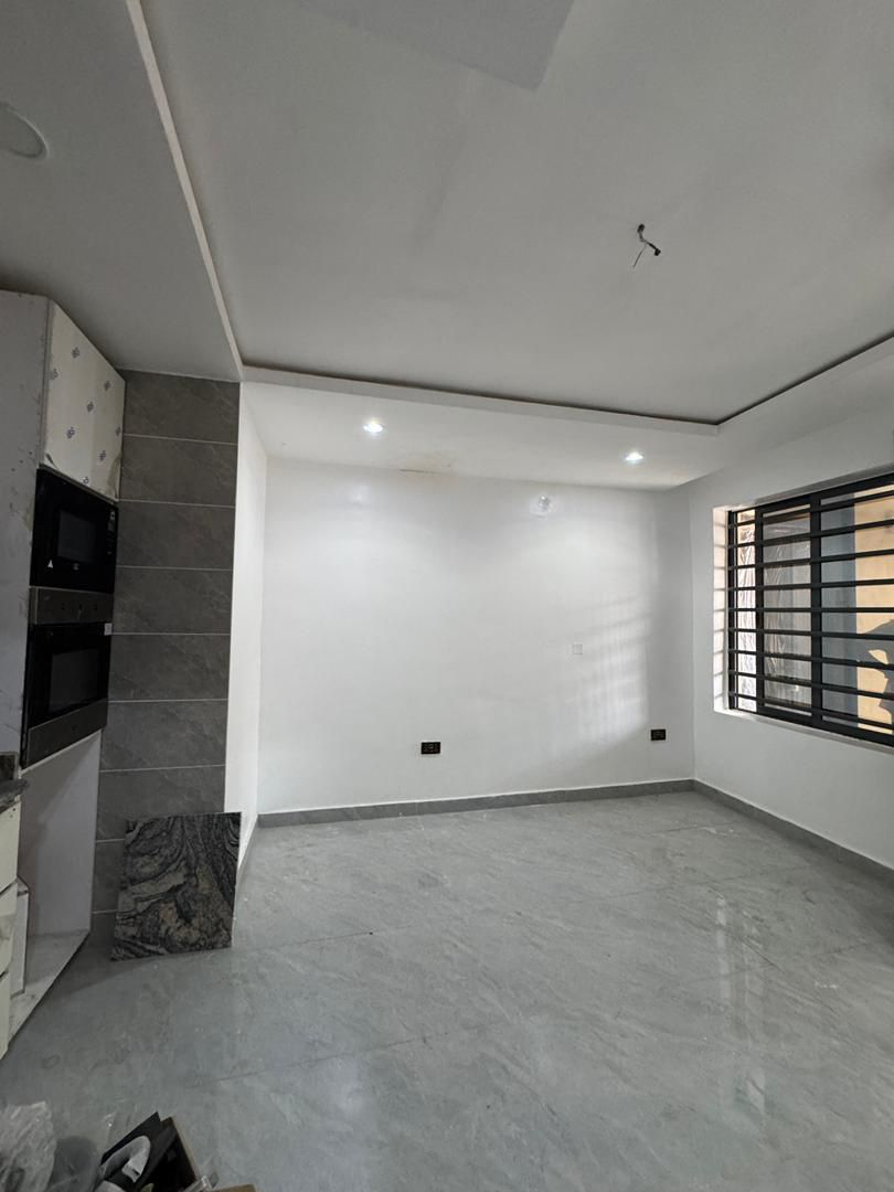 Neatly Built 1-Bedroom Apartment, Surulere, Lagos - Image 9