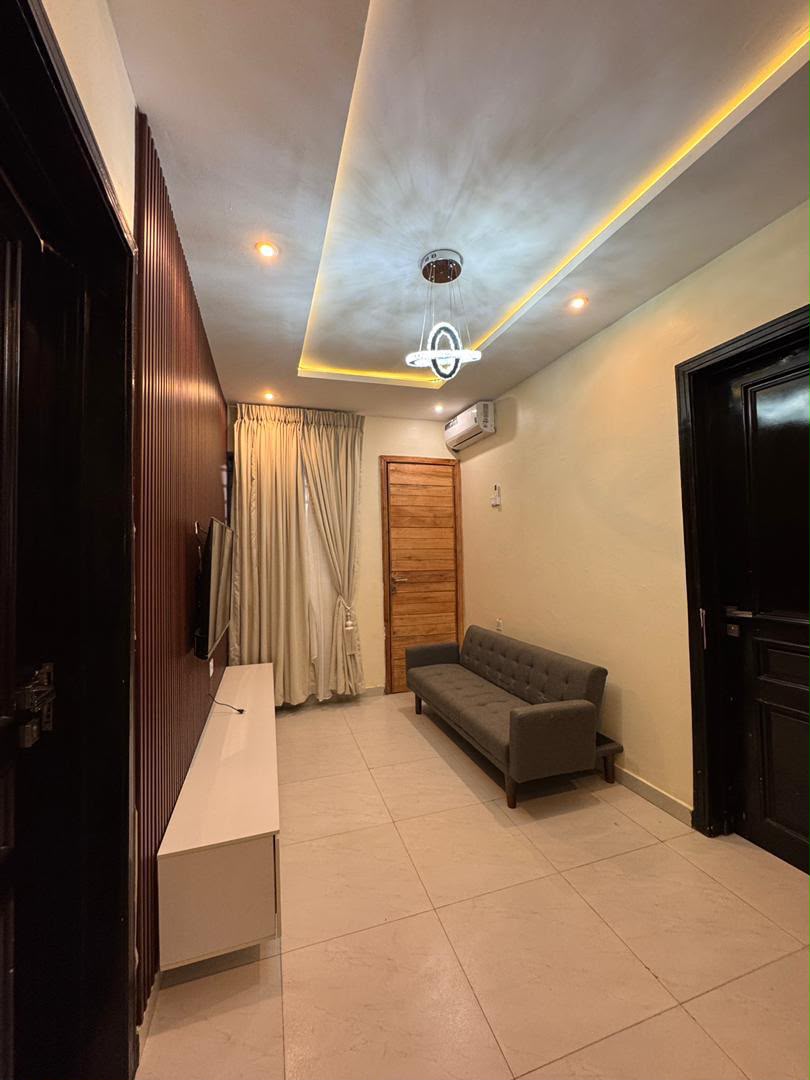 Newly Built Fully Furnished 3 Bedroom Semi-Detached Duplex with BQ, Surulere, Lagos   - Image 6