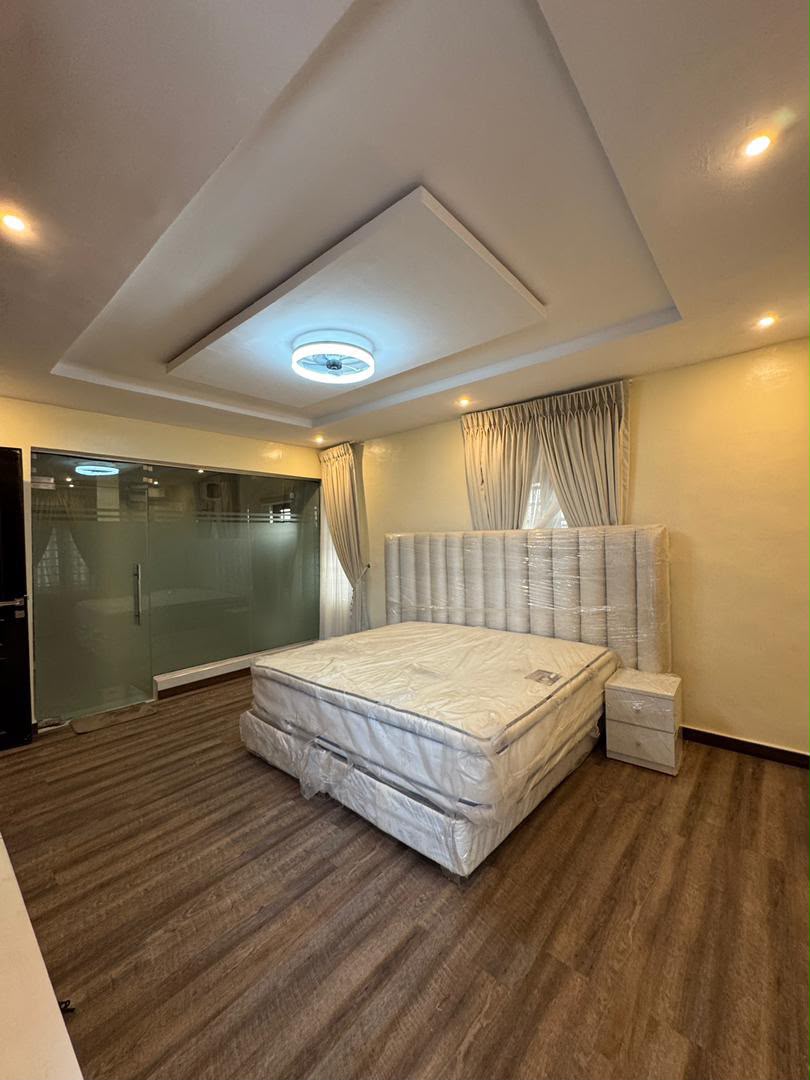 Newly Built Fully Furnished 3 Bedroom Semi-Detached Duplex with BQ, Surulere, Lagos   - Image 12
